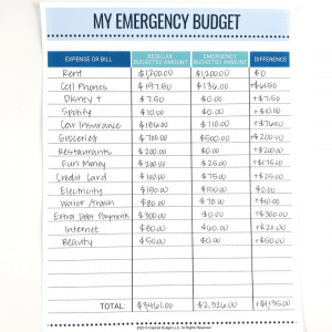 Emergency Budget Example