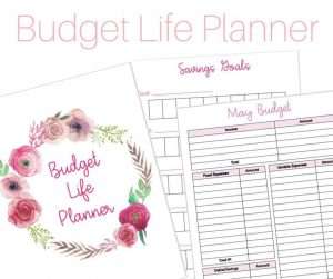 Budget Life Planner
