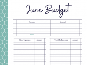 Budget sheet