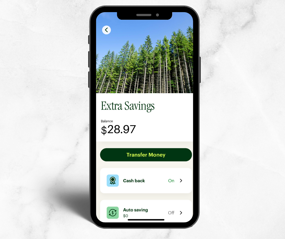 Spruce app cash back earned