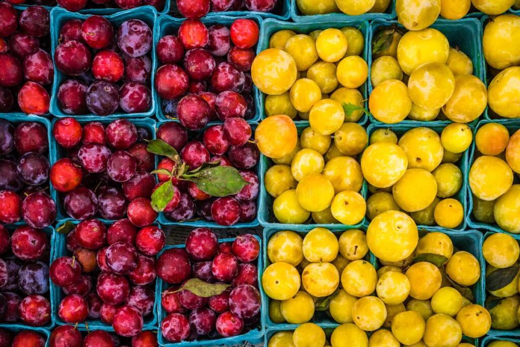 A farmer's market is a great place to visit when you're bored and on a budget